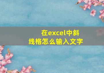 在excel中斜线格怎么输入文字