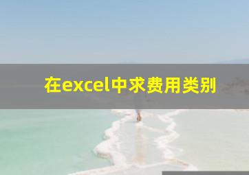 在excel中求费用类别