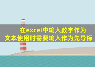 在excel中输入数字作为文本使用时需要输入作为先导标