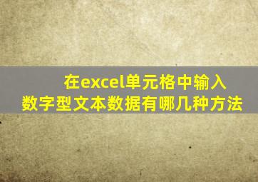 在excel单元格中输入数字型文本数据有哪几种方法