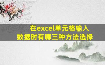 在excel单元格输入数据时有哪三种方法选择