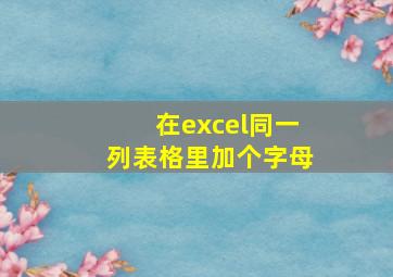 在excel同一列表格里加个字母