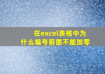 在excel表格中为什么编号前面不能加零