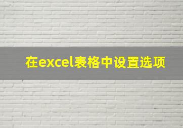 在excel表格中设置选项