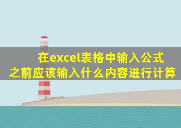 在excel表格中输入公式之前应该输入什么内容进行计算