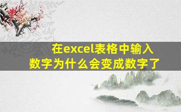 在excel表格中输入数字为什么会变成数字了