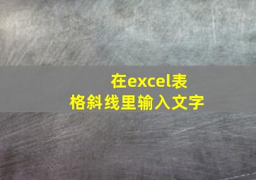 在excel表格斜线里输入文字