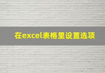 在excel表格里设置选项