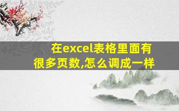 在excel表格里面有很多页数,怎么调成一样