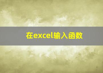 在excel输入函数