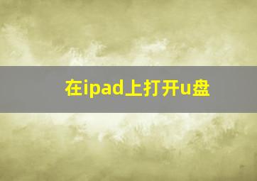 在ipad上打开u盘