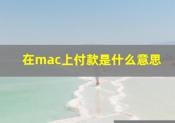 在mac上付款是什么意思