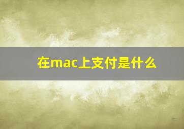 在mac上支付是什么