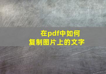 在pdf中如何复制图片上的文字