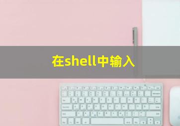 在shell中输入