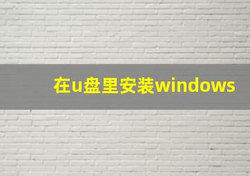 在u盘里安装windows