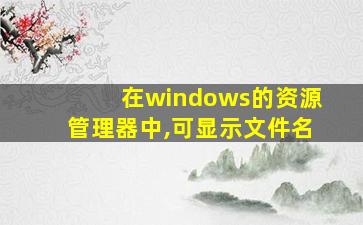 在windows的资源管理器中,可显示文件名