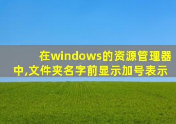 在windows的资源管理器中,文件夹名字前显示加号表示