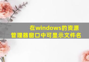 在windows的资源管理器窗口中可显示文件名