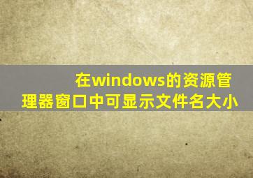 在windows的资源管理器窗口中可显示文件名大小