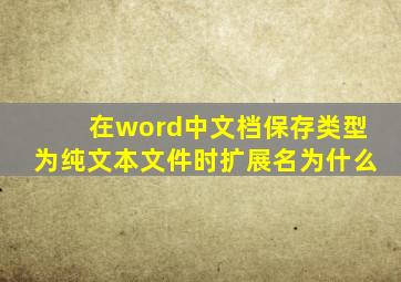 在word中文档保存类型为纯文本文件时扩展名为什么