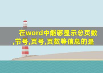 在word中能够显示总页数,节号,页号,页数等信息的是