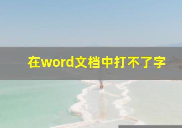 在word文档中打不了字