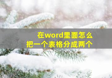 在word里面怎么把一个表格分成两个