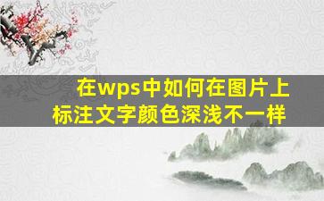 在wps中如何在图片上标注文字颜色深浅不一样