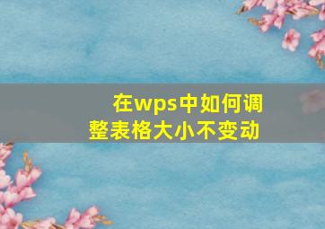 在wps中如何调整表格大小不变动