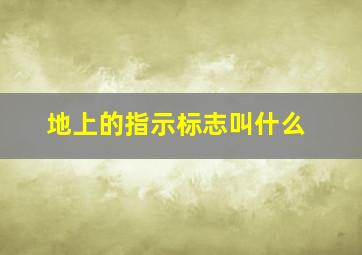 地上的指示标志叫什么