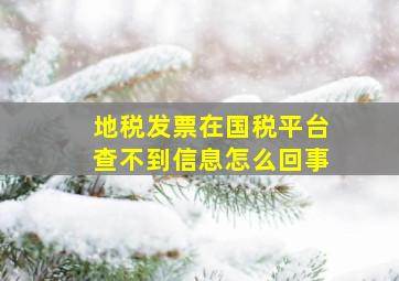 地税发票在国税平台查不到信息怎么回事