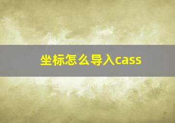 坐标怎么导入cass