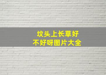 坟头上长草好不好呀图片大全