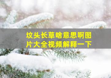 坟头长草啥意思啊图片大全视频解释一下