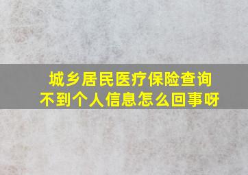 城乡居民医疗保险查询不到个人信息怎么回事呀