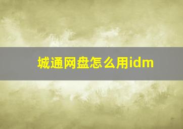 城通网盘怎么用idm