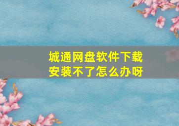 城通网盘软件下载安装不了怎么办呀