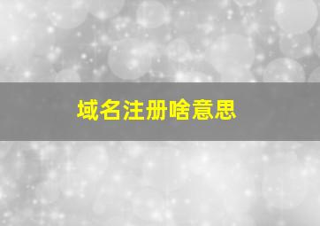 域名注册啥意思