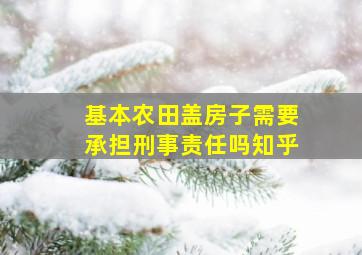 基本农田盖房子需要承担刑事责任吗知乎