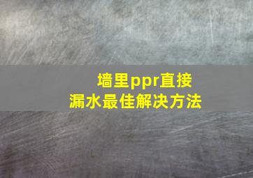 墙里ppr直接漏水最佳解决方法