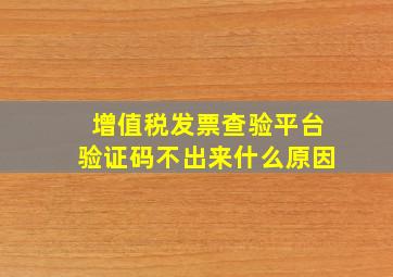 增值税发票查验平台验证码不出来什么原因