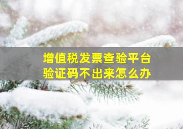 增值税发票查验平台验证码不出来怎么办