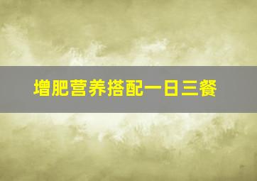 增肥营养搭配一日三餐