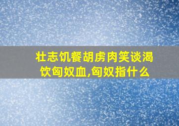 壮志饥餐胡虏肉笑谈渴饮匈奴血,匈奴指什么