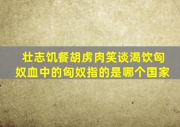 壮志饥餐胡虏肉笑谈渴饮匈奴血中的匈奴指的是哪个国家