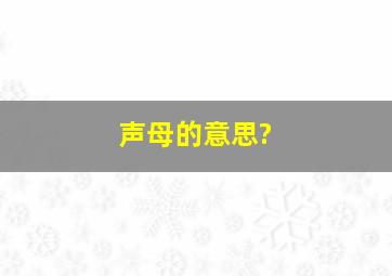 声母的意思?