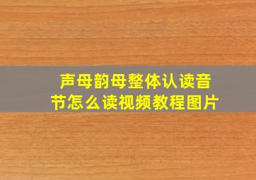 声母韵母整体认读音节怎么读视频教程图片