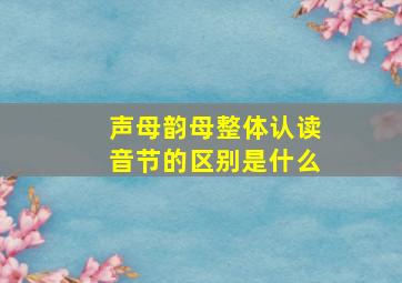 声母韵母整体认读音节的区别是什么