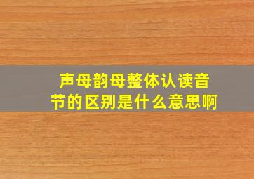 声母韵母整体认读音节的区别是什么意思啊